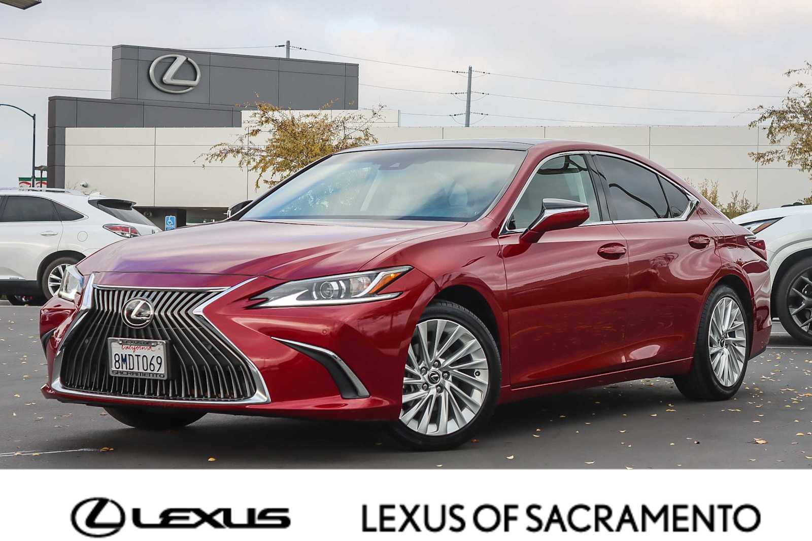 2019 Lexus ES 350's photo