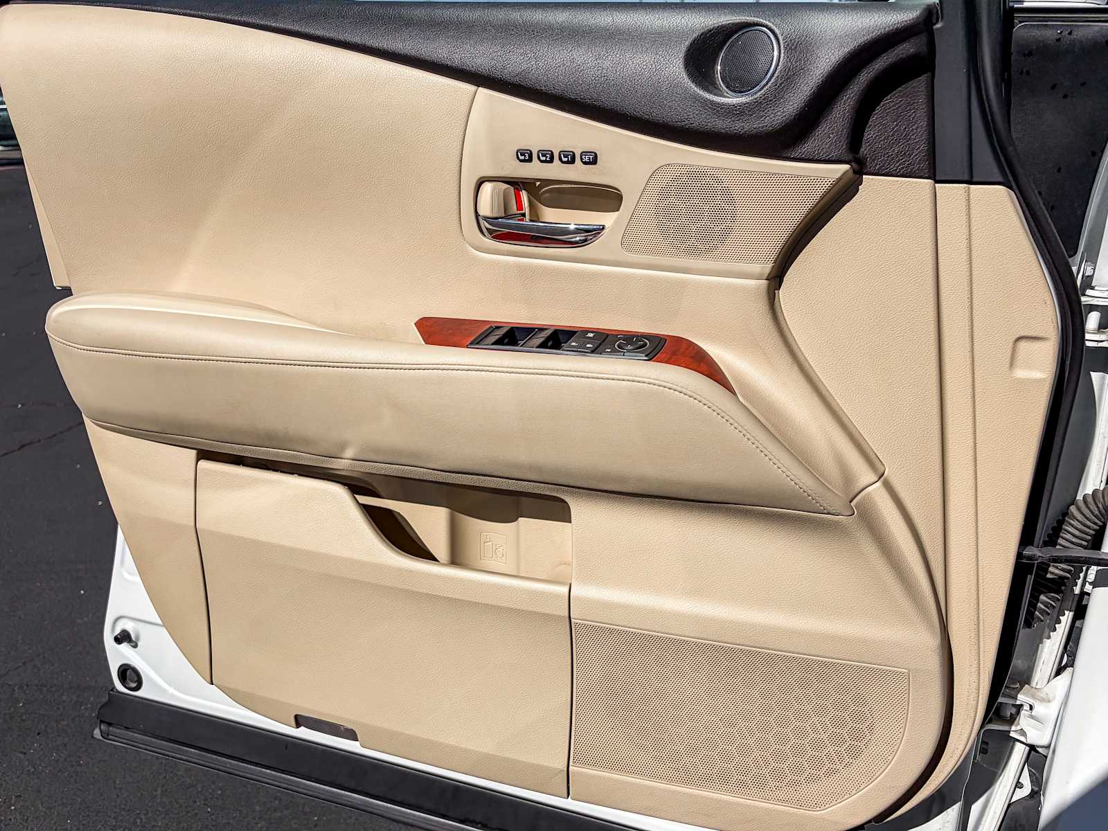 Thumbnail: 2010 Lexus RX - 20