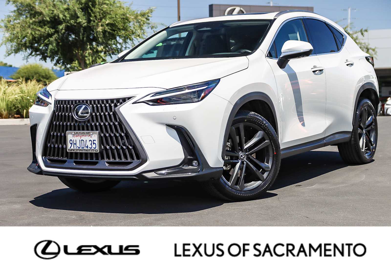 Thumbnail: 2024 Lexus NX - 1