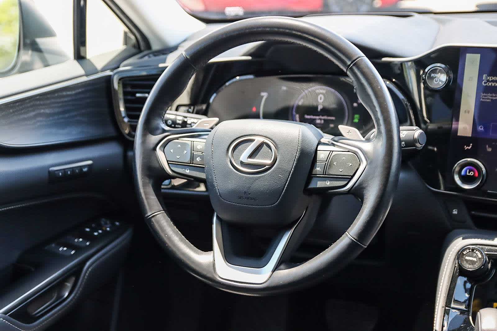 Thumbnail: 2024 Lexus NX - 19