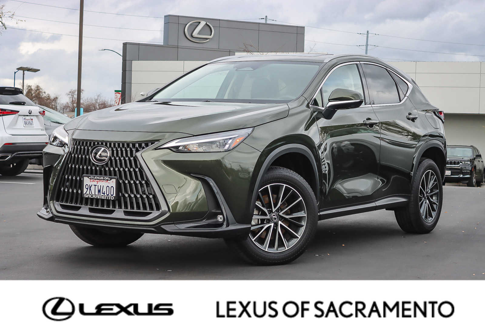 2024 Lexus NX Hybrid 350h's photo