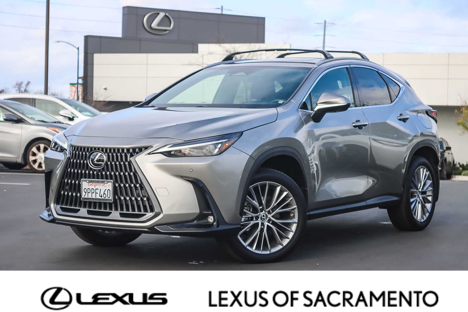 2025 Lexus NX 350's photo