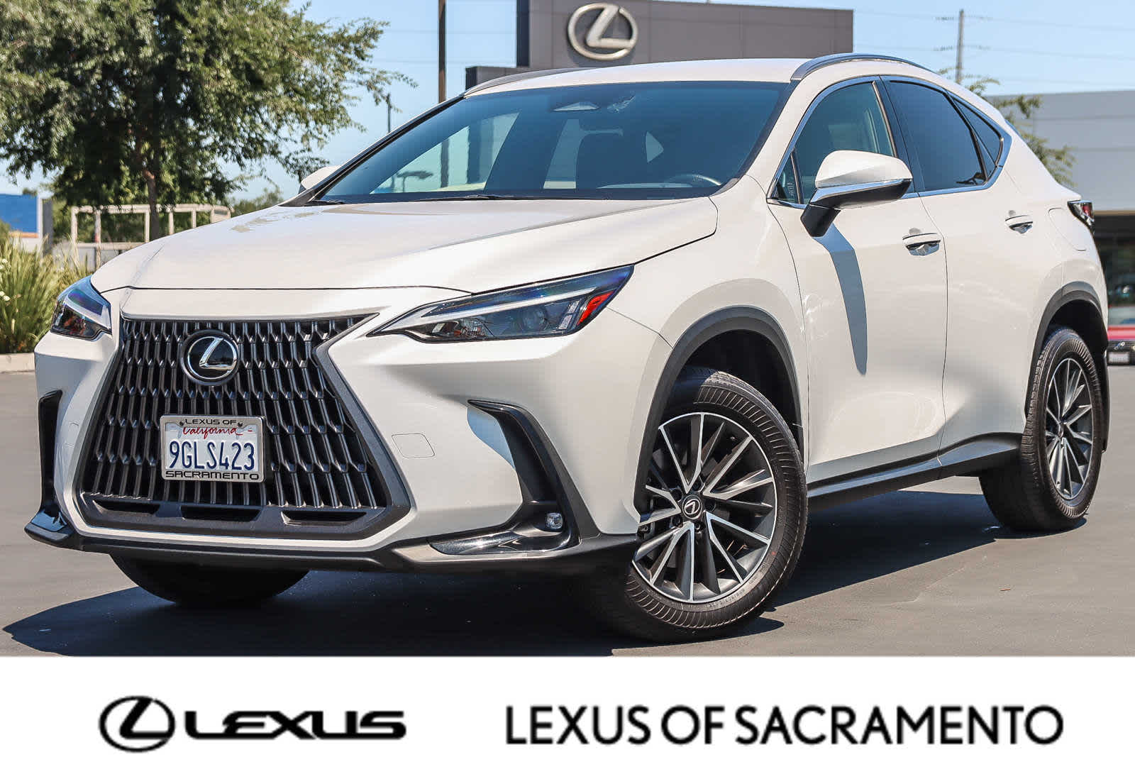 Thumbnail: 2024 Lexus NX - 2