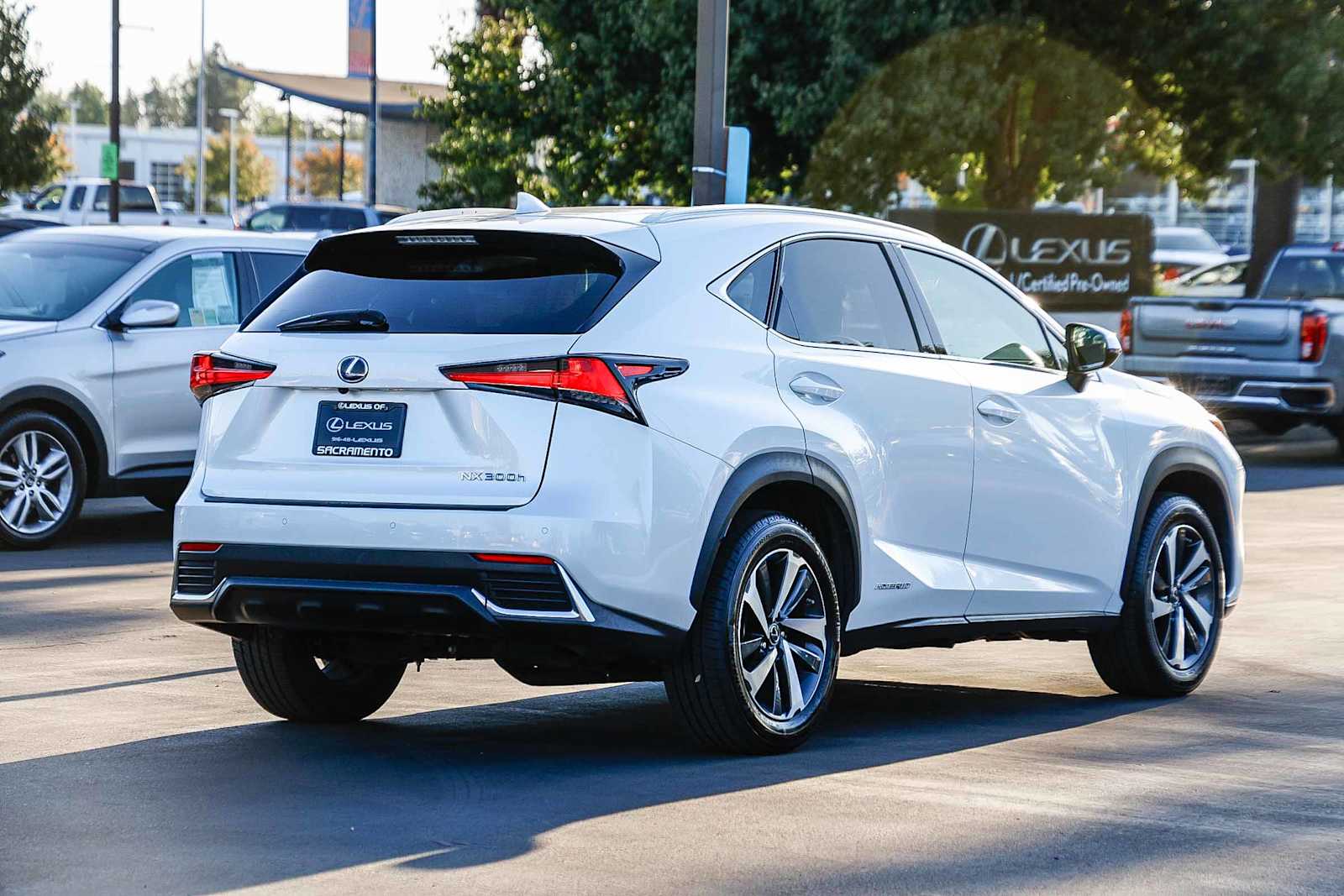 2020 Lexus NX 300h Premium photo 3