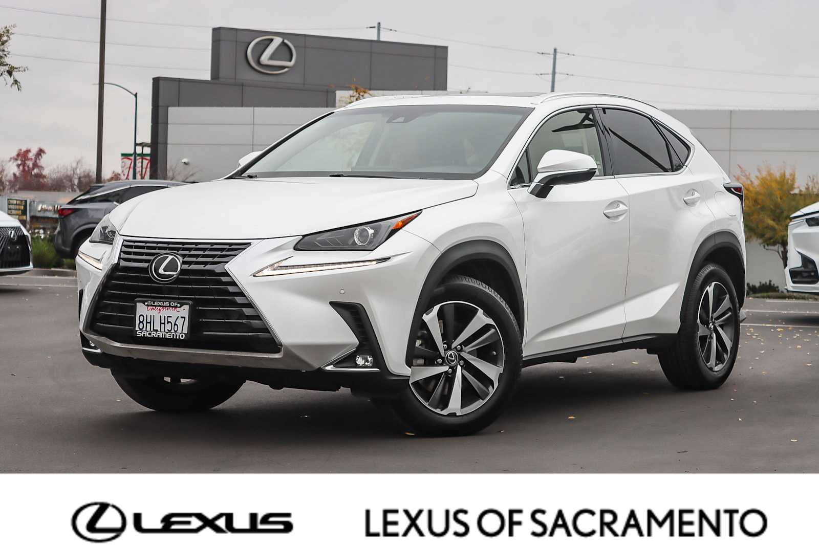 2019 Lexus NX 300's photo