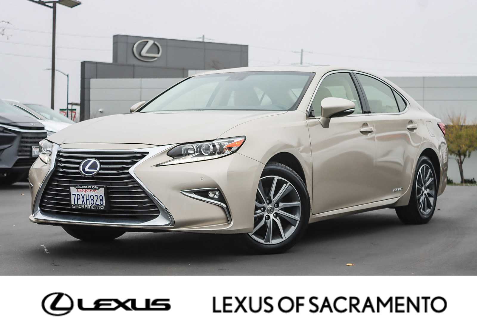 2016 Lexus ES 300h's photo
