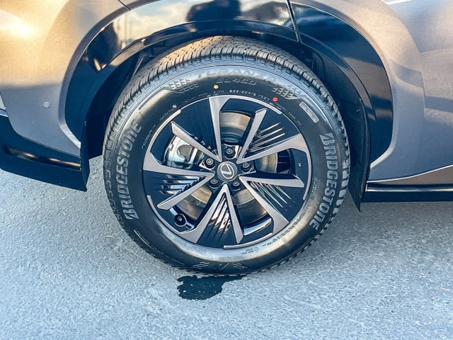 Thumbnail: 2026 Lexus RZ - 10