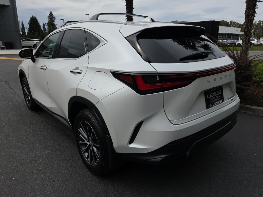 2025 Lexus NX 350h photo 3