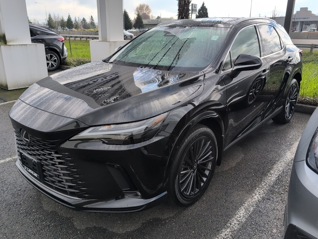 2026 Lexus RX Hybrid 350h's photo