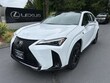 LEXUS UX 300h