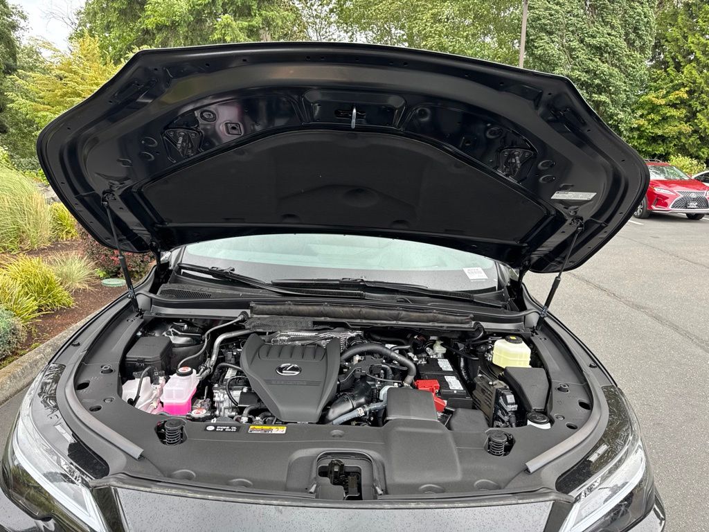 2026 Lexus RX 350 Premium - Photo 29