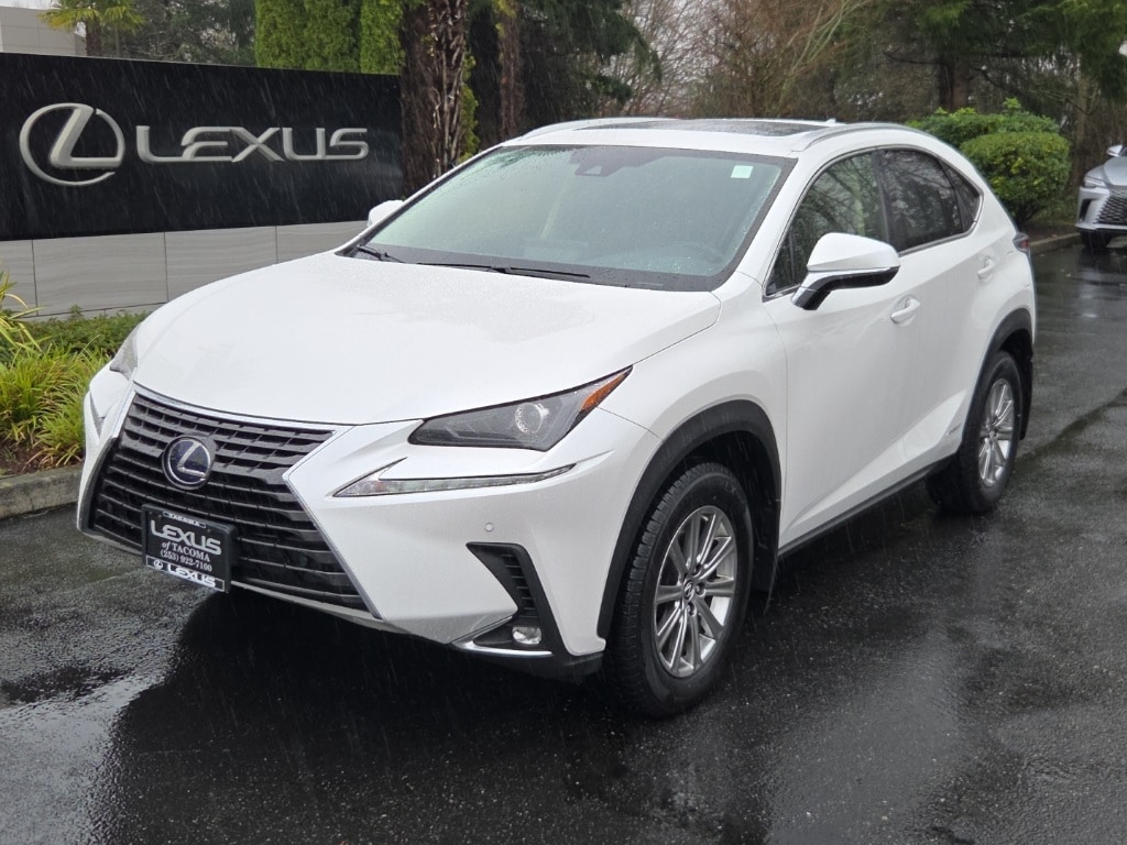 2020 Lexus NX Hybrid 300h's photo