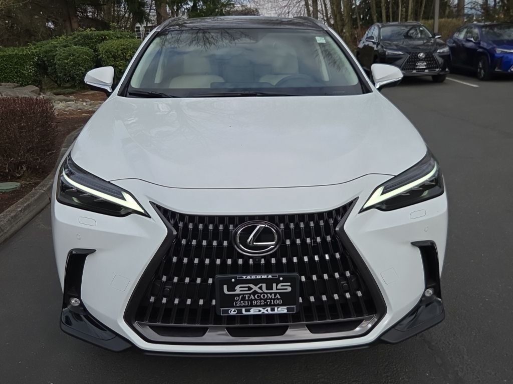 2026 Lexus NX 450h+ Luxury - Photo 9