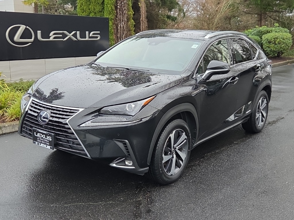 2020 Lexus NX Hybrid 300h's photo