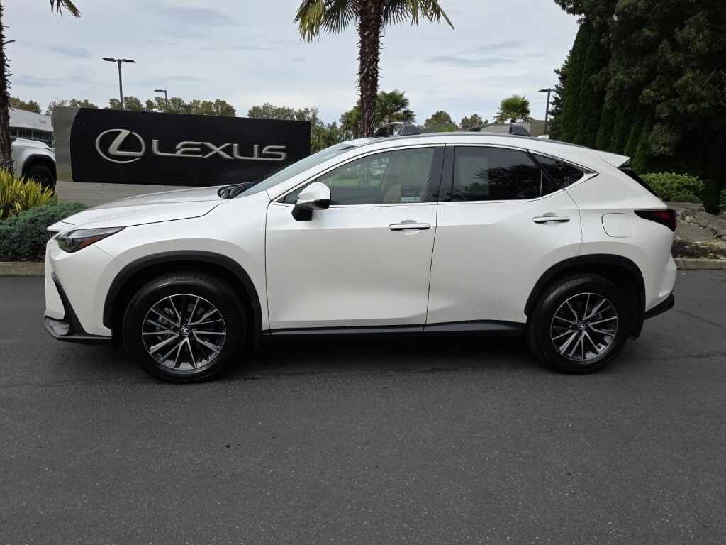 2025 Lexus NX 350h photo 2