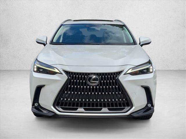 2022 Lexus NX 350 Premium photo 2