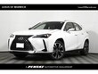 LEXUS UX 300h
