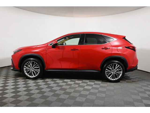 2025 Lexus NX 350 Premium photo 2
