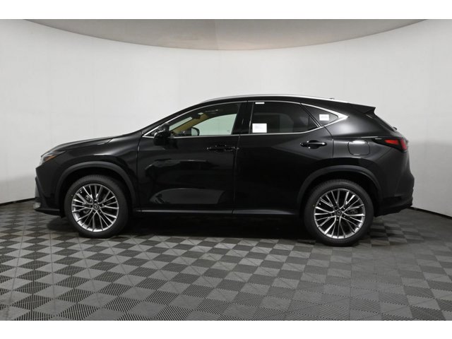 2026 Lexus NX 350 Luxury photo 2