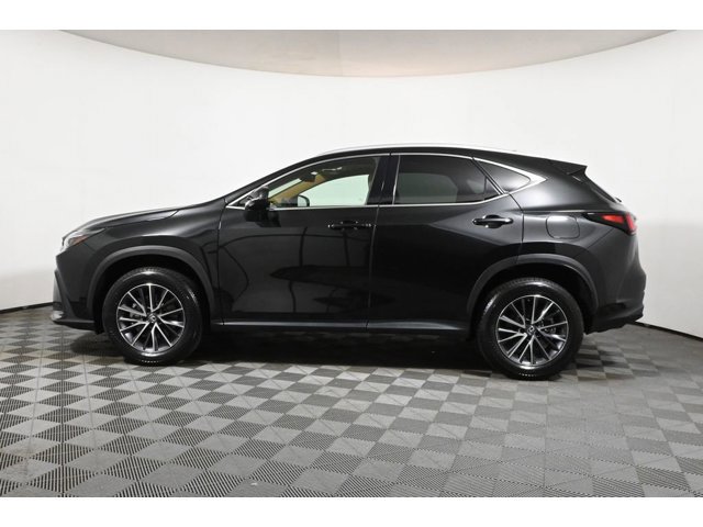 2022 Lexus NX 350 Premium photo 2