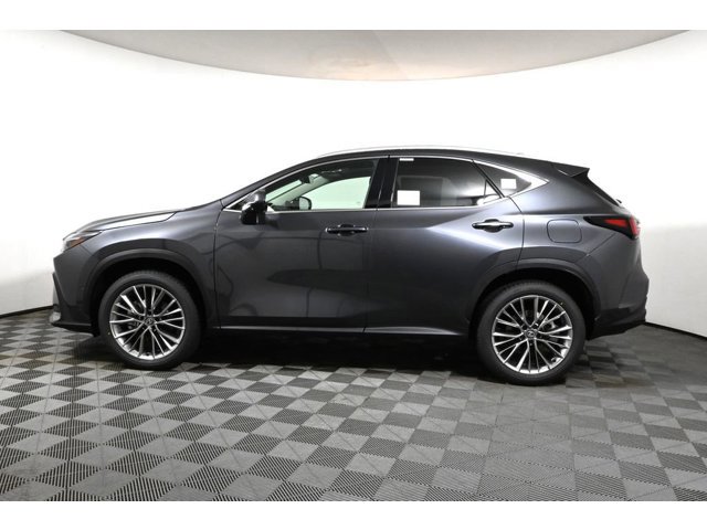 2026 Lexus NX 350h Luxury AWD photo 2