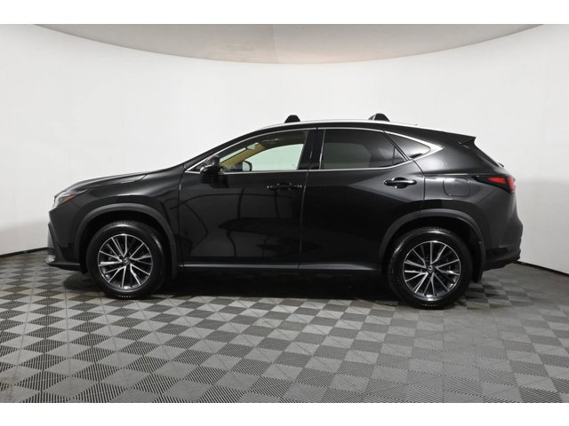 2024 Lexus NX 350 Premium photo 2