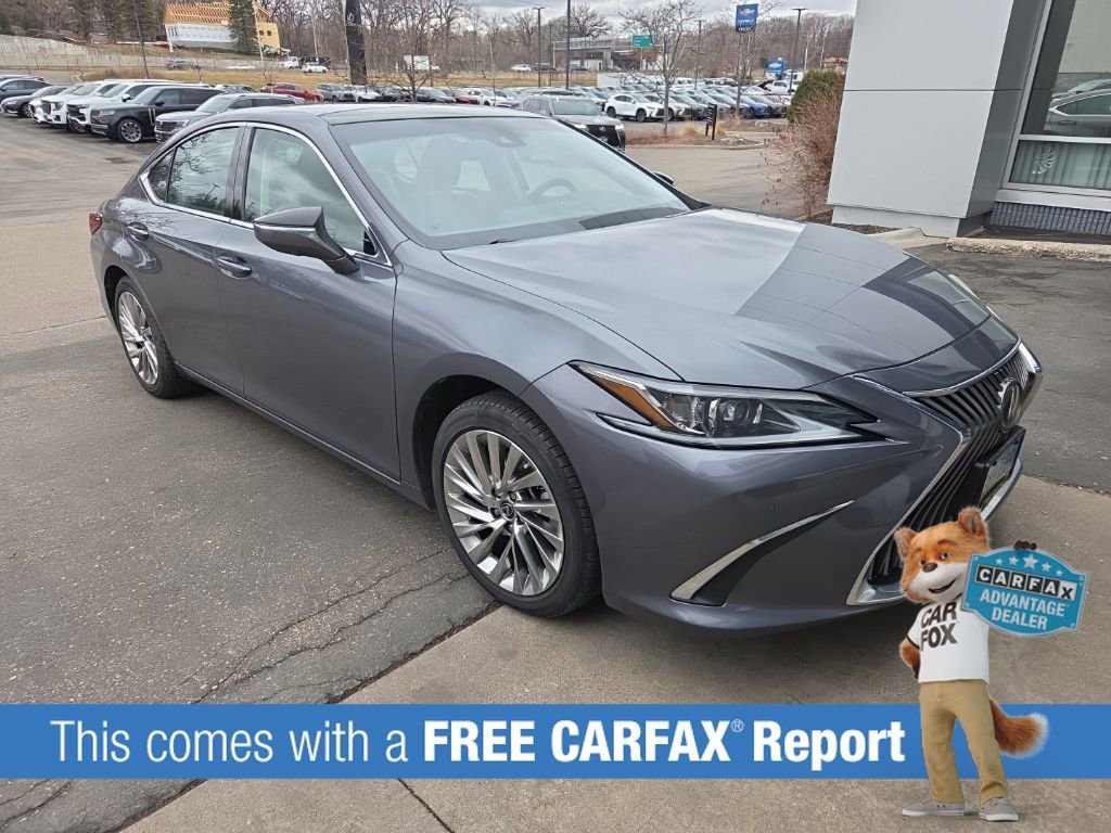 Used 2019 Lexus ES 350 Luxury with VIN 58ABZ1B13KU044231 for sale in Wayzata, Minnesota