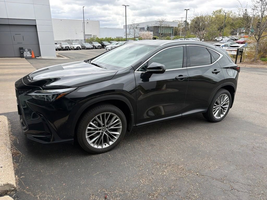 2025 Lexus NX 350 350 Premium AWD's photo