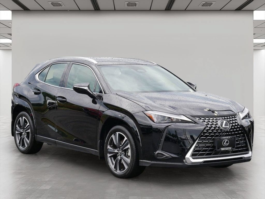 2025 Lexus UX 300h 300h Premium AWD's photo
