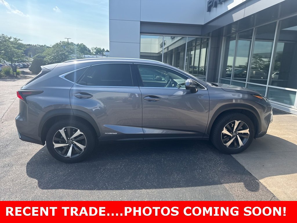 2020 Lexus NX 300h Premium photo 3