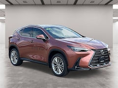 2025 LEXUS NX 350 LUXURY AWD Sport Utility