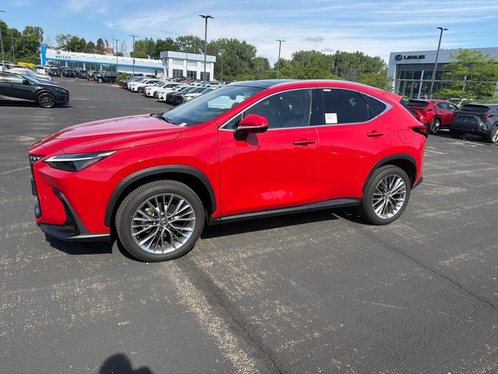 2025 Lexus NX 350h 350h Luxury AWD's photo