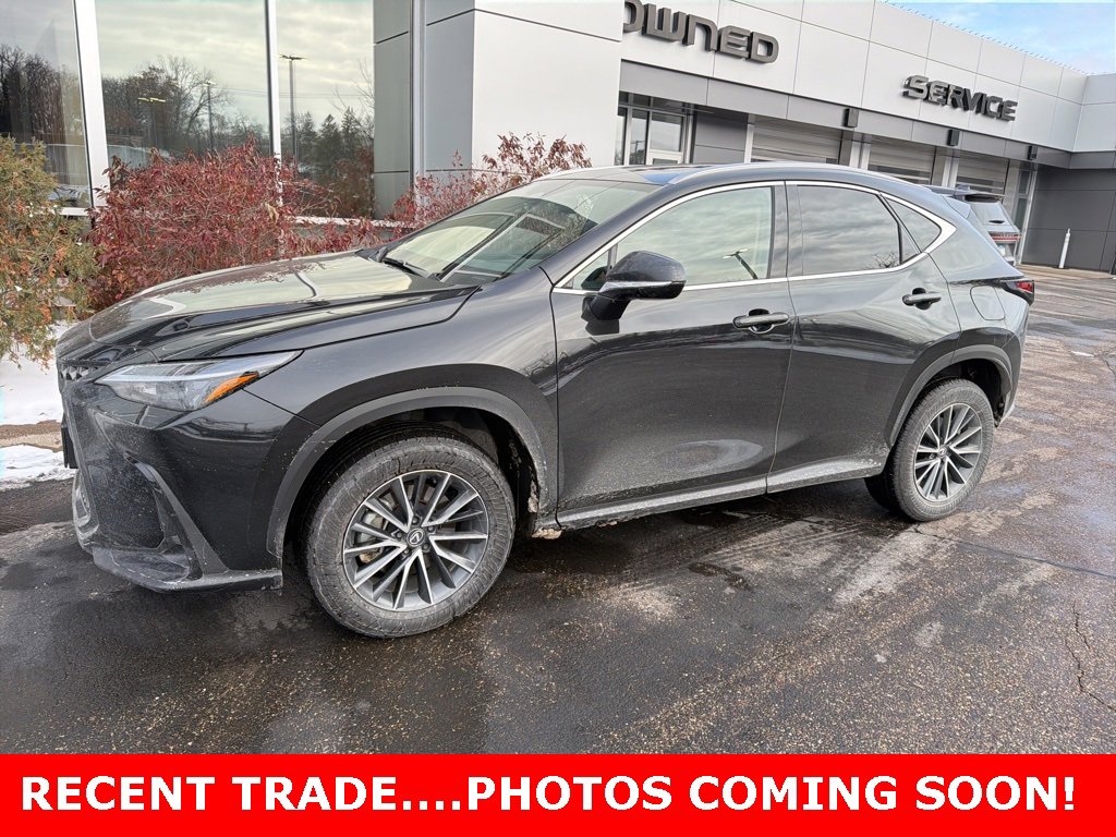 2024 Lexus NX 350's photo