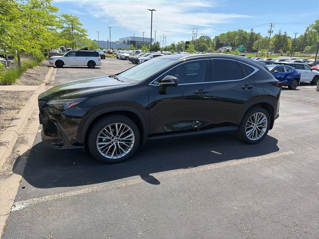 2024 Lexus NX 350h 350h Luxury AWD's photo