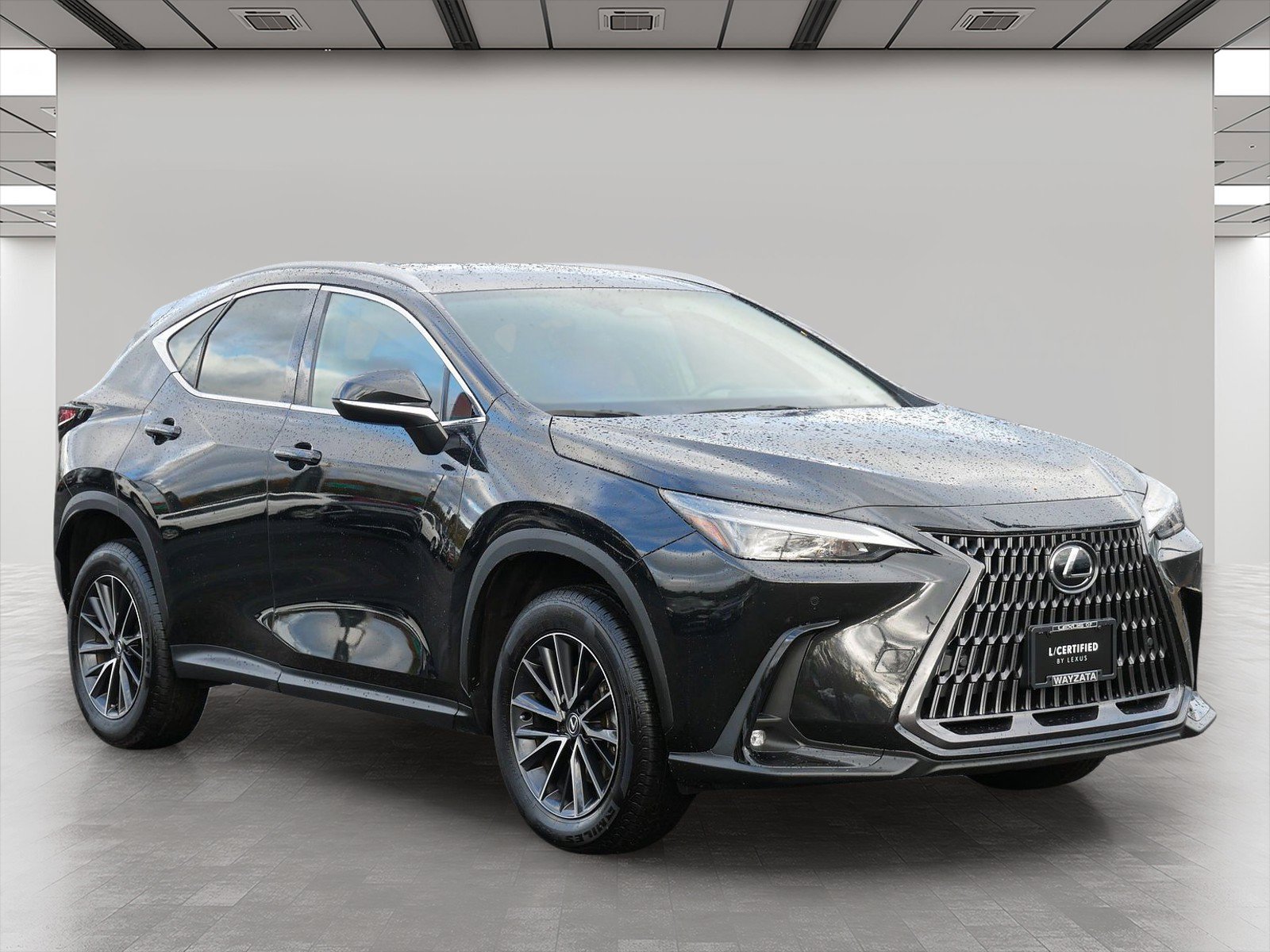 2024 Lexus NX 350
