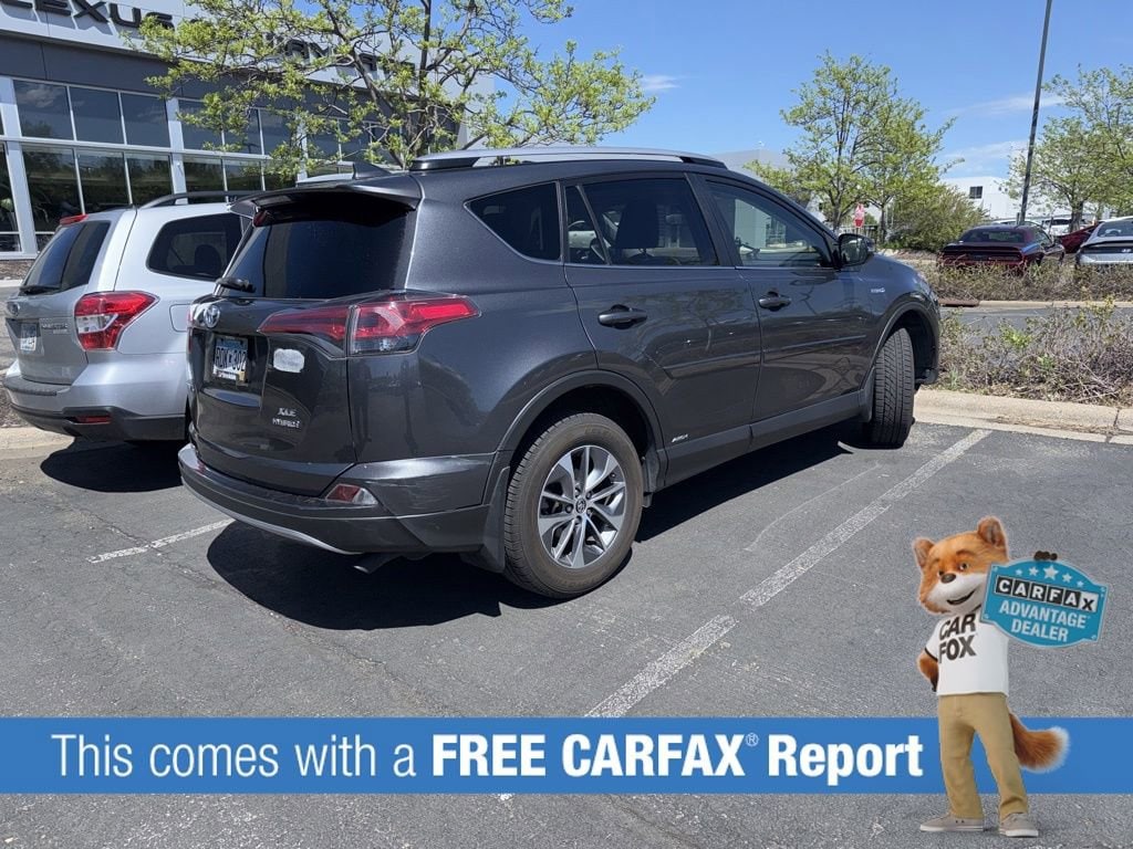 Used 2018 Toyota RAV4 XLE with VIN JTMRJREV1JD178622 for sale in Wayzata, Minnesota