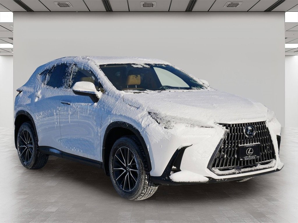 2024 Lexus NX 350's photo
