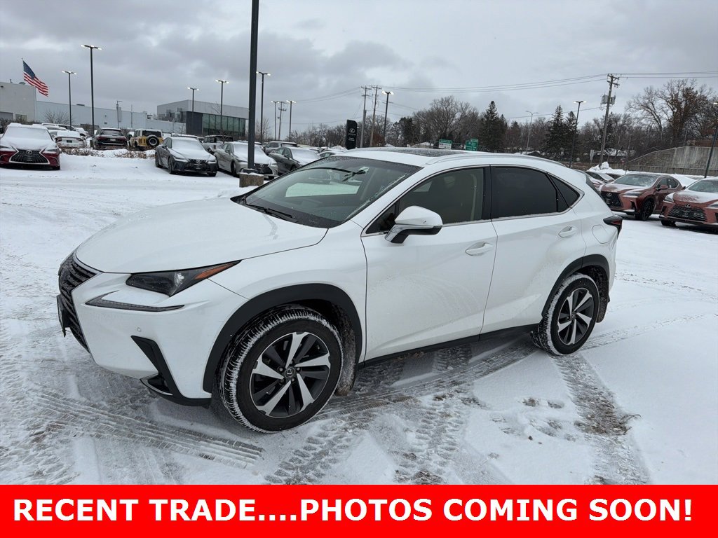 2019 Lexus NX 300's photo