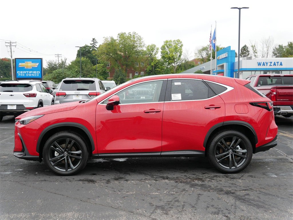 2025 Lexus NX Luxury AWD photo 3