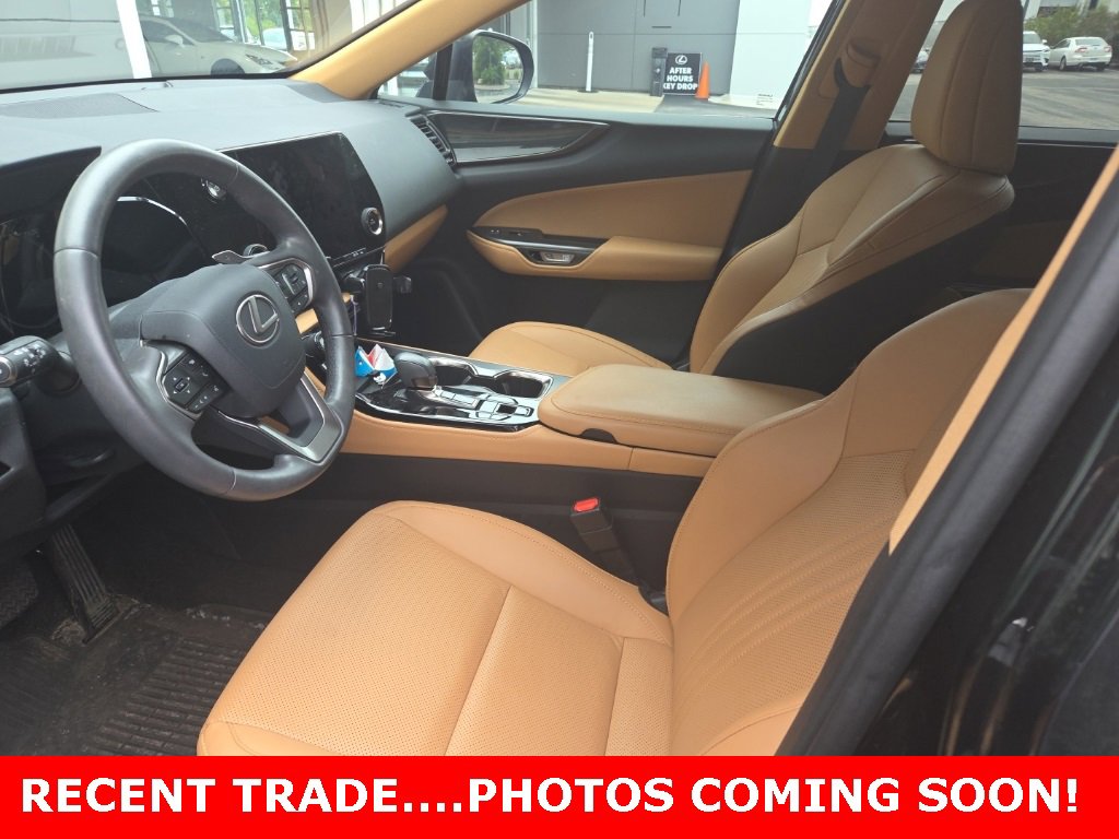 2024 Lexus NX 350h photo 4