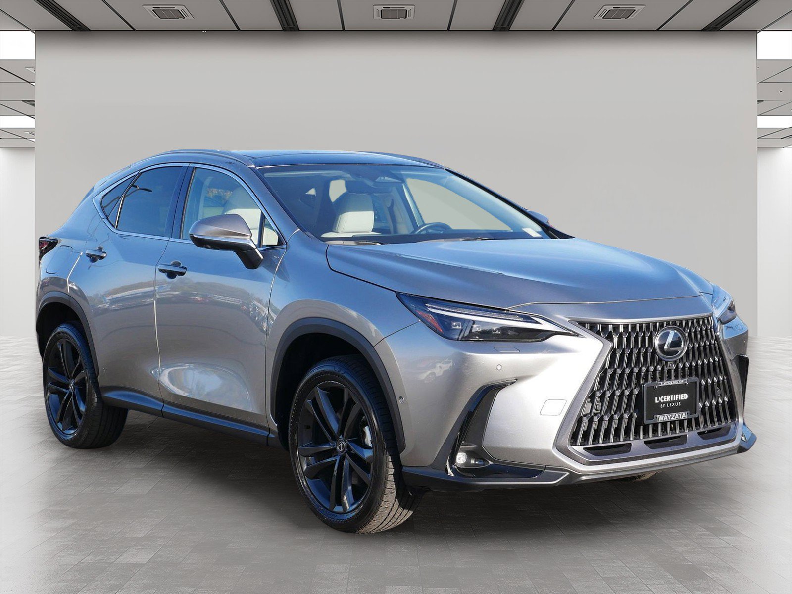 2025 Lexus NX PHEV