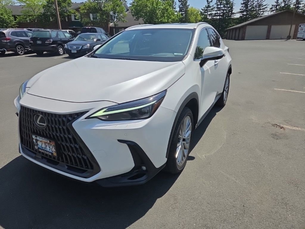 2024 Lexus NX 350 350 Luxury AWD's photo