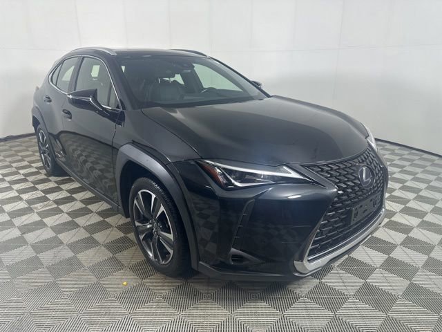 2020 Lexus UX 300h 250h AWD's photo