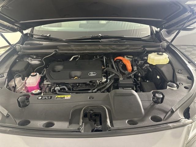 2023 Lexus RX Hybrid 350h - Photo 8