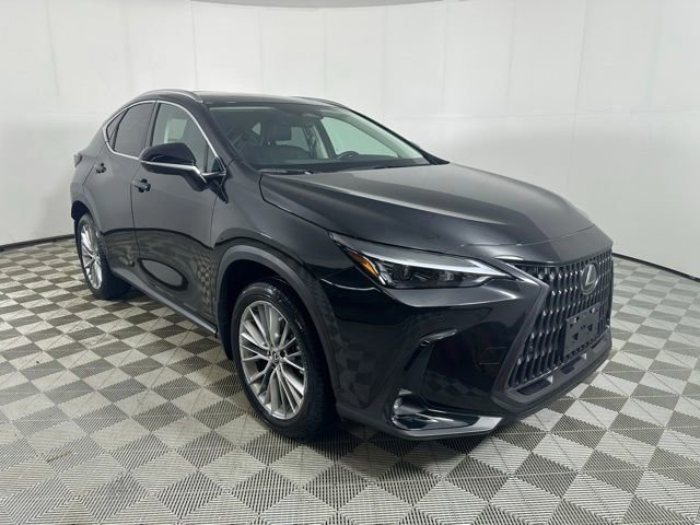 2025 Lexus NX 350 350 Premium AWD's photo