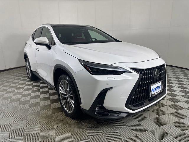 2025 Lexus NX 350 350 Luxury AWD's photo