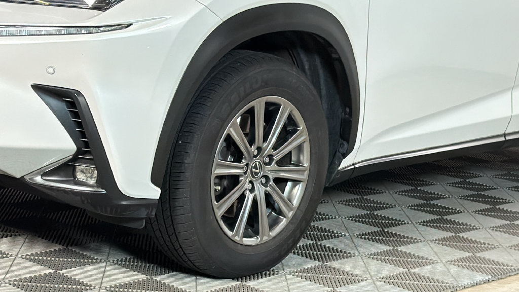 Used 2019 Lexus NX 300 Base SUV