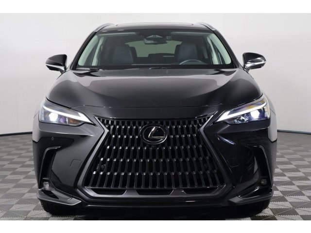 2025 Lexus NX 350h Premium photo 2