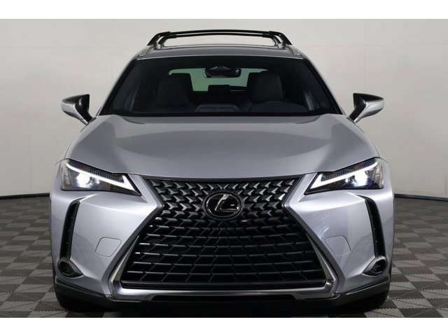 2025 Lexus UX photo 2
