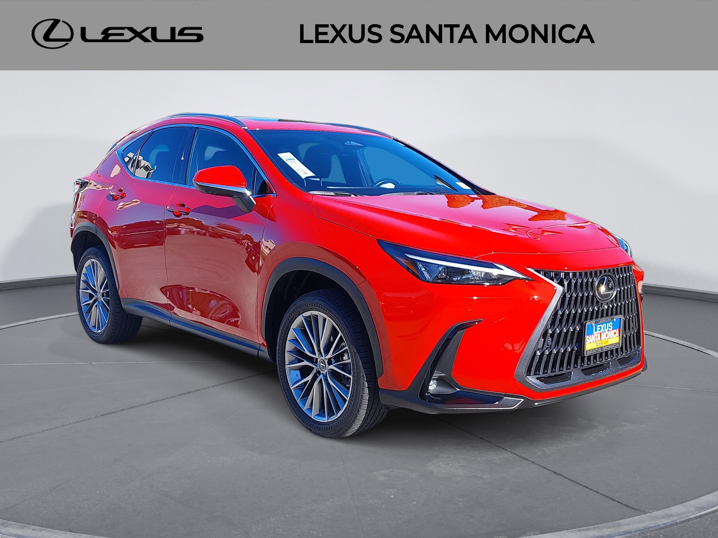 2022 Lexus NX 350h Luxury photo 3